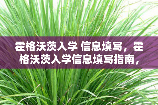 霍格沃茨入学 信息填写,霍格沃茨入学信息填写指南,解锁魔法之旅的第一步 霍格沃茨入学 信息填写,霍格沃茨入学信息填写指南,解锁魔法之旅的第一步