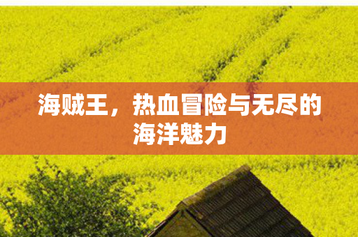 海贼王，热血冒险与无尽的海洋魅力