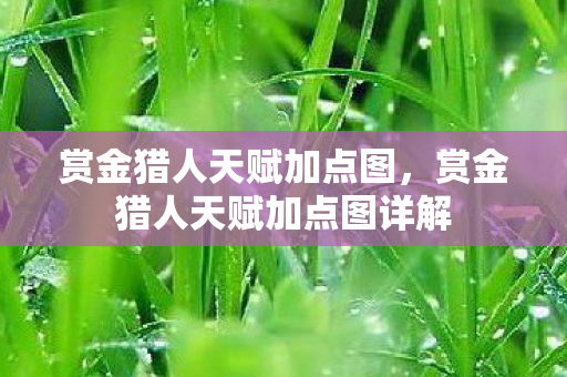 赏金猎人天赋加点图,赏金猎人天赋加点图详解 赏金猎人天赋加点图,赏金猎人天赋加点图详解