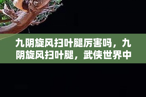 九阴旋风扫叶腿厉害吗,九阴旋风扫叶腿,武侠世界中的绝世腿法 九阴旋风扫叶腿厉害吗,九阴旋风扫叶腿,武侠世界中的绝世腿法