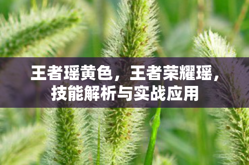 王者瑶黄色,王者荣耀瑶,技能解析与实战应用 王者瑶黄色,王者荣耀瑶,技能解析与实战应用