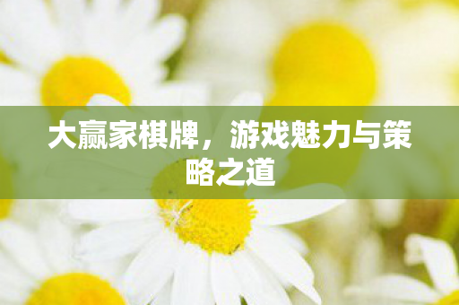 大赢家棋牌，游戏魅力与策略之道