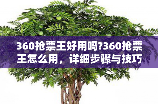 360抢票王好用吗?360抢票王怎么用,详细步骤与技巧 360抢票王好用吗?360抢票王怎么用,详细步骤与技巧