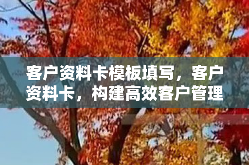 客户资料卡模板填写,客户资料卡,构建高效客户管理的基石 客户资料卡模板填写,客户资料卡,构建高效客户管理的基石
