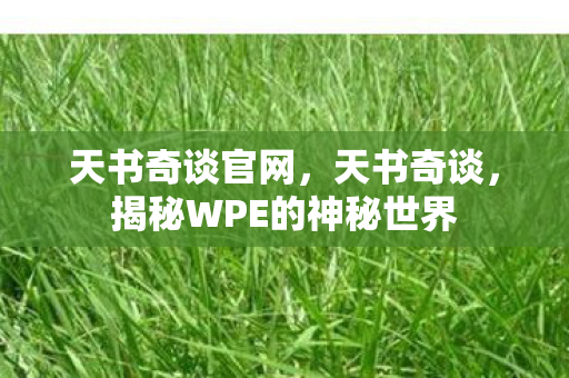 天书奇谈官网,天书奇谈,揭秘WPE的神秘世界 天书奇谈官网,天书奇谈,揭秘WPE的神秘世界