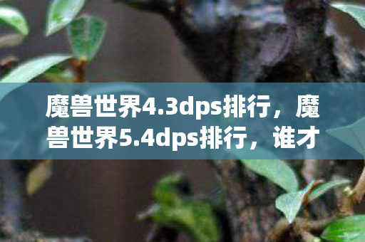魔兽世界4.3dps排行,魔兽世界5.4dps排行,谁才是输出之王? 魔兽世界4.3dps排行,魔兽世界5.4dps排行,谁才是输出之王?