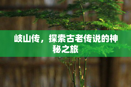 岐山传,探索古老传说的神秘之旅 岐山传,探索古老传说的神秘之旅