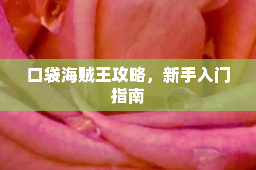 口袋海贼王攻略,新手入门指南 口袋海贼王攻略,新手入门指南
