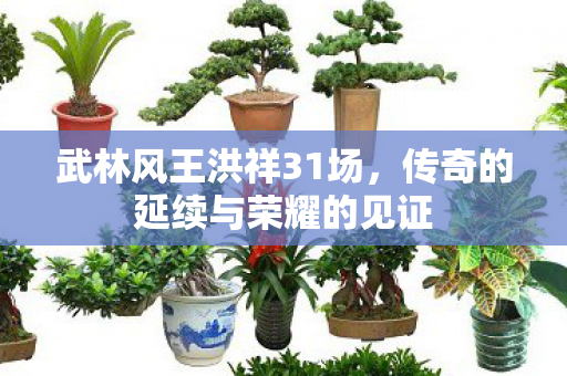 武林风王洪祥31场,传奇的延续与荣耀的见证 武林风王洪祥31场,传奇的延续与荣耀的见证