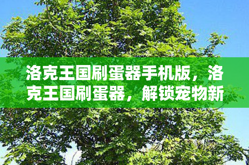 洛克王国刷蛋器手机版,洛克王国刷蛋器,解锁宠物新世界的神秘工具 洛克王国刷蛋器手机版,洛克王国刷蛋器,解锁宠物新世界的神秘工具
