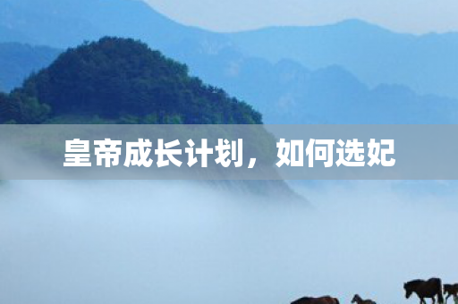 皇帝成长计划，如何选妃