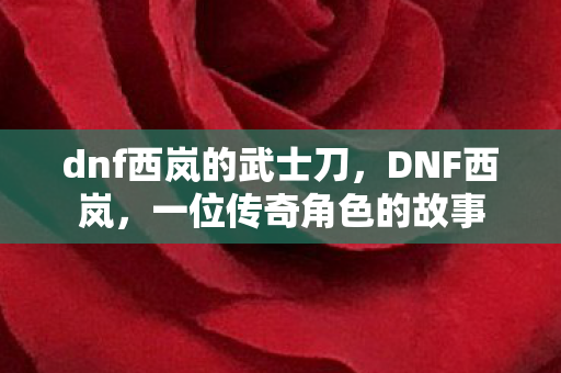 dnf西岚的武士刀,DNF西岚,一位传奇角色的故事 dnf西岚的武士刀,DNF西岚,一位传奇角色的故事