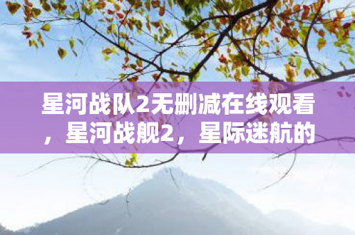星河战队2无删减在线观看,星河战舰2,星际迷航的终极对决 星河战队2无删减在线观看,星河战舰2,星际迷航的终极对决