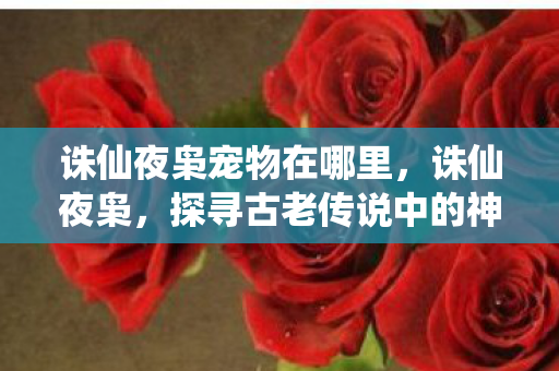 诛仙夜枭宠物在哪里，诛仙夜枭，探寻古老传说中的神秘生物