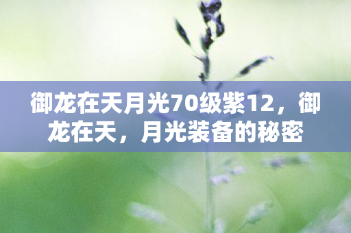 御龙在天月光70级紫12，御龙在天，月光装备的秘密