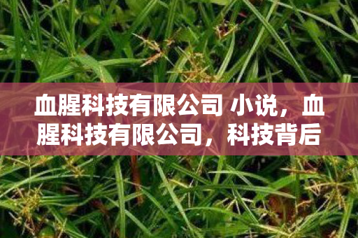 血腥科技有限公司 小说，血腥科技有限公司，科技背后的黑暗面
