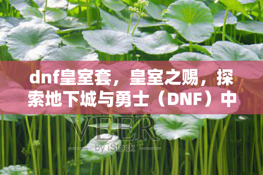 dnf皇室套,皇室之赐,探索地下城与勇士(DNF)中的皇室力量 dnf皇室套,皇室之赐,探索地下城与勇士(DNF)中的皇室力量