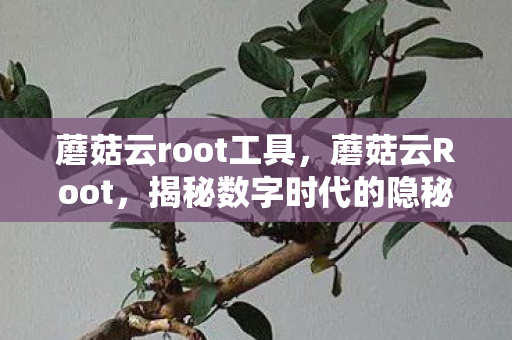 蘑菇云root工具,蘑菇云Root,揭秘数字时代的隐秘角落 蘑菇云root工具,蘑菇云Root,揭秘数字时代的隐秘角落