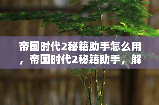 帝国时代2秘籍助手怎么用,帝国时代2秘籍助手,解锁游戏新境界的必备工具 帝国时代2秘籍助手怎么用,帝国时代2秘籍助手,解锁游戏新境界的必备工具