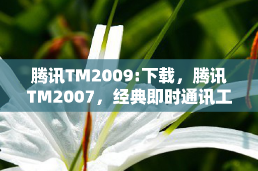 腾讯TM2009:下载,腾讯TM2007,经典即时通讯工具的辉煌与变迁 腾讯TM2009:下载,腾讯TM2007,经典即时通讯工具的辉煌与变迁