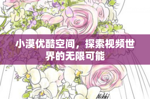 小漠优酷空间,探索视频世界的无限可能 小漠优酷空间,探索视频世界的无限可能