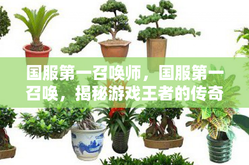 国服第一召唤师,国服第一召唤,揭秘游戏王者的传奇之路 国服第一召唤师,国服第一召唤,揭秘游戏王者的传奇之路