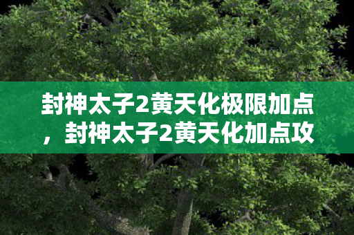 封神太子2黄天化极限加点,封神太子2黄天化加点攻略 封神太子2黄天化极限加点,封神太子2黄天化加点攻略