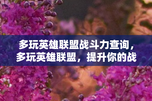 多玩英雄联盟战斗力查询,多玩英雄联盟,提升你的战斗力 多玩英雄联盟战斗力查询,多玩英雄联盟,提升你的战斗力