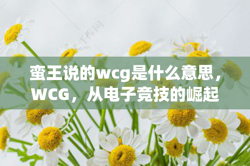 蛮王说的wcg是什么意思,WCG,从电子竞技的崛起看全球游戏文化的融合 蛮王说的wcg是什么意思,WCG,从电子竞技的崛起看全球游戏文化的融合