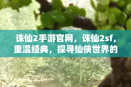 诛仙2手游官网,诛仙2sf,重温经典,探寻仙侠世界的奥秘 诛仙2手游官网,诛仙2sf,重温经典,探寻仙侠世界的奥秘