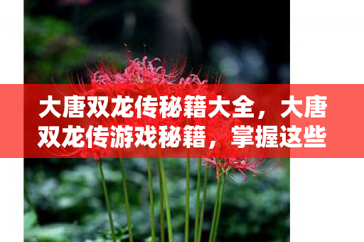 大唐双龙传秘籍大全,大唐双龙传游戏秘籍,掌握这些技巧,助你成为江湖霸主 大唐双龙传秘籍大全,大唐双龙传游戏秘籍,掌握这些技巧,助你成为江湖霸主