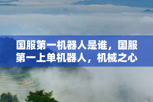 国服第一机器人是谁,国服第一上单机器人,机械之心的荣耀之路 国服第一机器人是谁,国服第一上单机器人,机械之心的荣耀之路