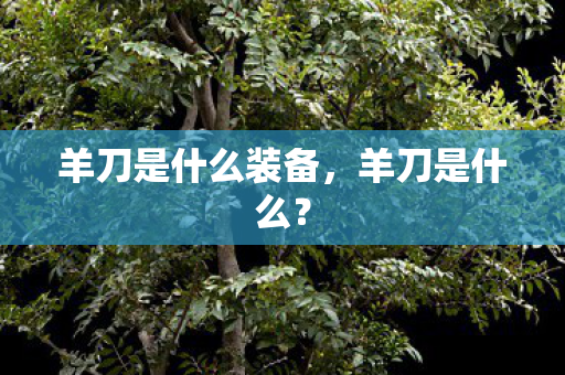 羊刀是什么装备,羊刀是什么? 羊刀是什么装备,羊刀是什么?