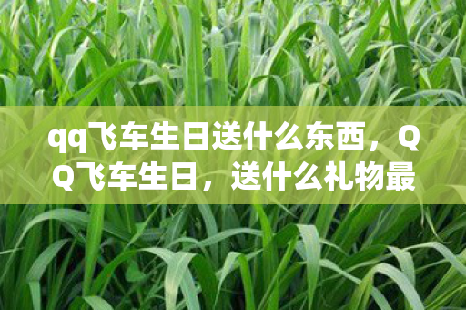qq飞车生日送什么东西,QQ飞车生日,送什么礼物最贴心? qq飞车生日送什么东西,QQ飞车生日,送什么礼物最贴心?