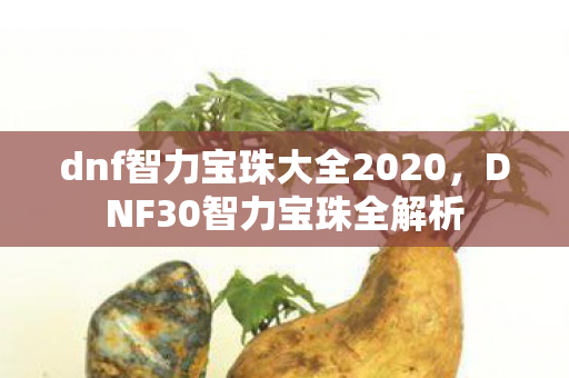 dnf智力宝珠大全2020,DNF30智力宝珠全解析 dnf智力宝珠大全2020,DNF30智力宝珠全解析