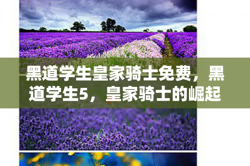 黑道学生皇家骑士免费,黑道学生5,皇家骑士的崛起 黑道学生皇家骑士免费,黑道学生5,皇家骑士的崛起