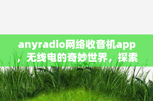 anyradio网络收音机app，无线电的奇妙世界，探索AnyRadio的无限可能