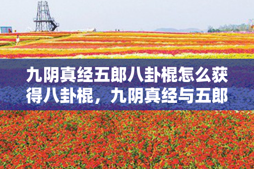 九阴真经五郎八卦棍怎么获得八卦棍,九阴真经与五郎八卦棍,武侠世界的双重绝学 九阴真经五郎八卦棍怎么获得八卦棍,九阴真经与五郎八卦棍,武侠世界的双重绝学
