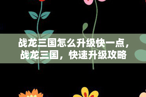 战龙三国怎么升级快一点,战龙三国,快速升级攻略 战龙三国怎么升级快一点,战龙三国,快速升级攻略