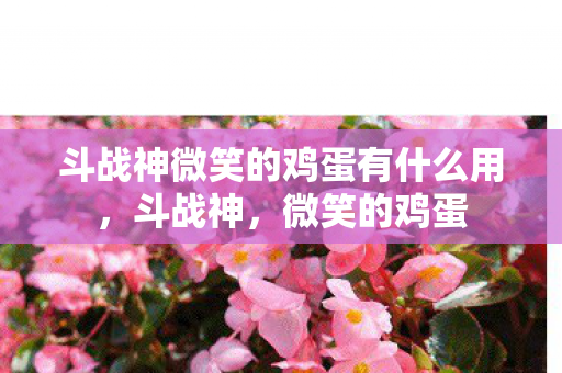 斗战神微笑的鸡蛋有什么用,斗战神,微笑的鸡蛋 斗战神微笑的鸡蛋有什么用,斗战神,微笑的鸡蛋