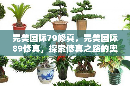 完美国际79修真,完美国际89修真,探索修真之路的奥秘 完美国际79修真,完美国际89修真,探索修真之路的奥秘
