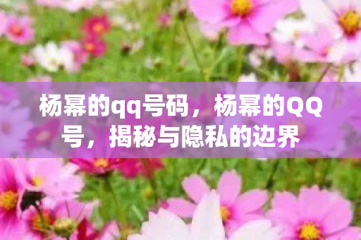 杨幂的qq号码,杨幂的QQ号,揭秘与隐私的边界 杨幂的qq号码,杨幂的QQ号,揭秘与隐私的边界