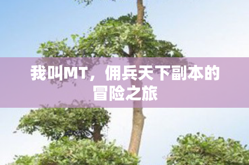 我叫MT，佣兵天下副本的冒险之旅