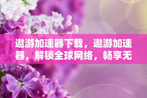 遨游加速器下载，遨游加速器，解锁全球网络，畅享无限可能