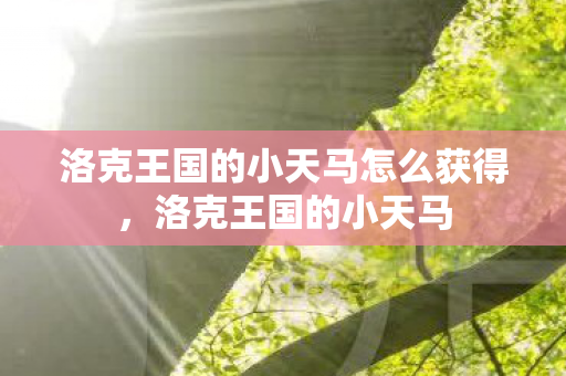 洛克王国的小天马怎么获得,洛克王国的小天马 洛克王国的小天马怎么获得,洛克王国的小天马