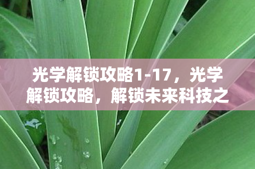 光学解锁攻略1-17,光学解锁攻略,解锁未来科技之门 光学解锁攻略1-17,光学解锁攻略,解锁未来科技之门