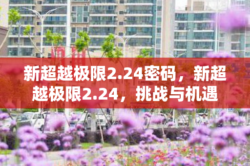 新超越极限2.24密码,新超越极限2.24,挑战与机遇并存的数字时代 新超越极限2.24密码,新超越极限2.24,挑战与机遇并存的数字时代