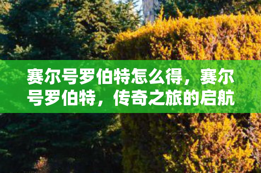 赛尔号罗伯特怎么得，赛尔号罗伯特，传奇之旅的启航