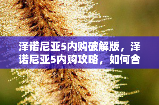 泽诺尼亚5内购破解版,泽诺尼亚5内购攻略,如何合理消费,提升游戏体验 泽诺尼亚5内购破解版,泽诺尼亚5内购攻略,如何合理消费,提升游戏体验