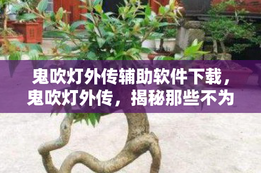 鬼吹灯外传辅助软件下载,鬼吹灯外传,揭秘那些不为人知的探险辅助工具 鬼吹灯外传辅助软件下载,鬼吹灯外传,揭秘那些不为人知的探险辅助工具
